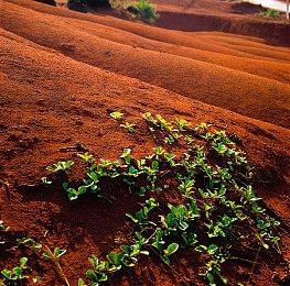 传闻PS6将于2027年初投入生产 售价或超550美元