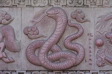 《晨昏线》官网上线！独家资讯一网打尽！